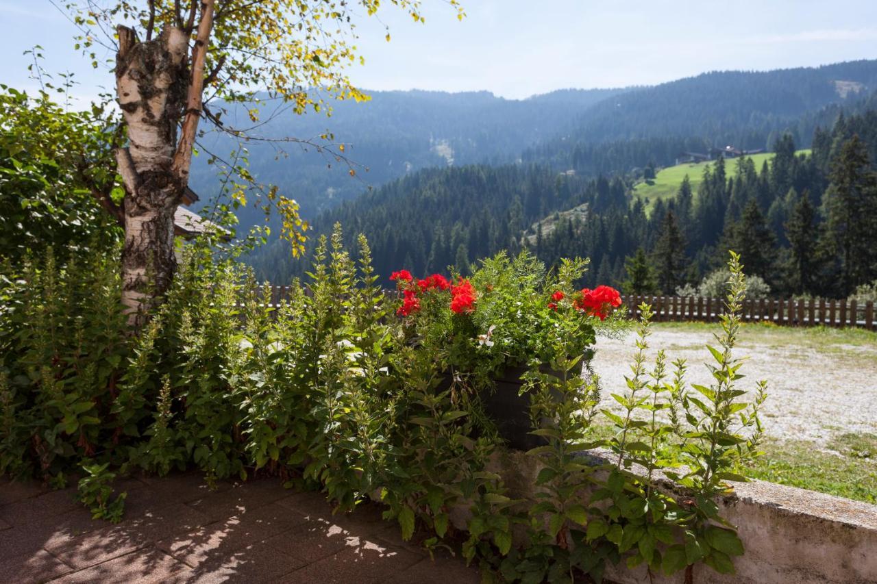 Alpenspitz Appartements - Garni - B&B Racines Eksteriør bilde