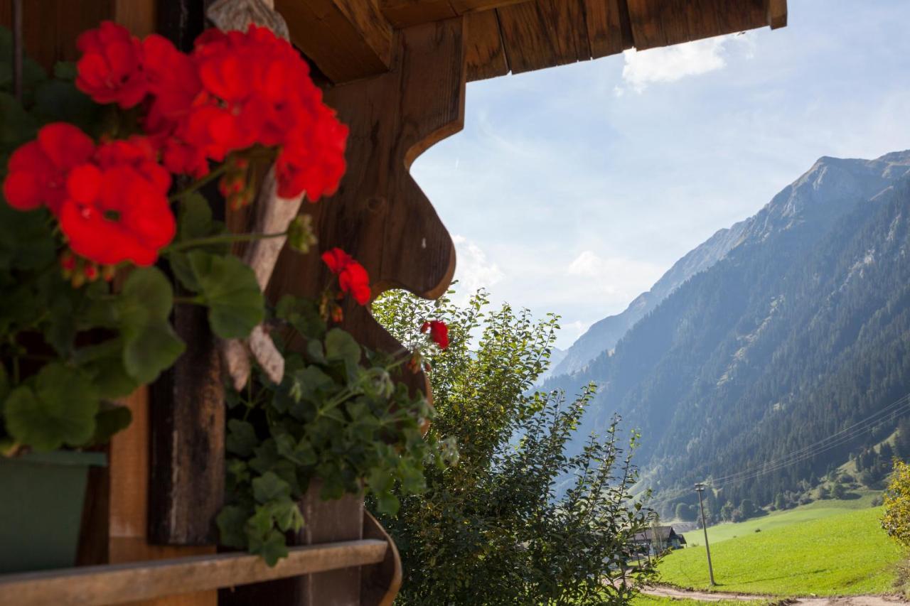 Alpenspitz Appartements - Garni - B&B Racines Eksteriør bilde