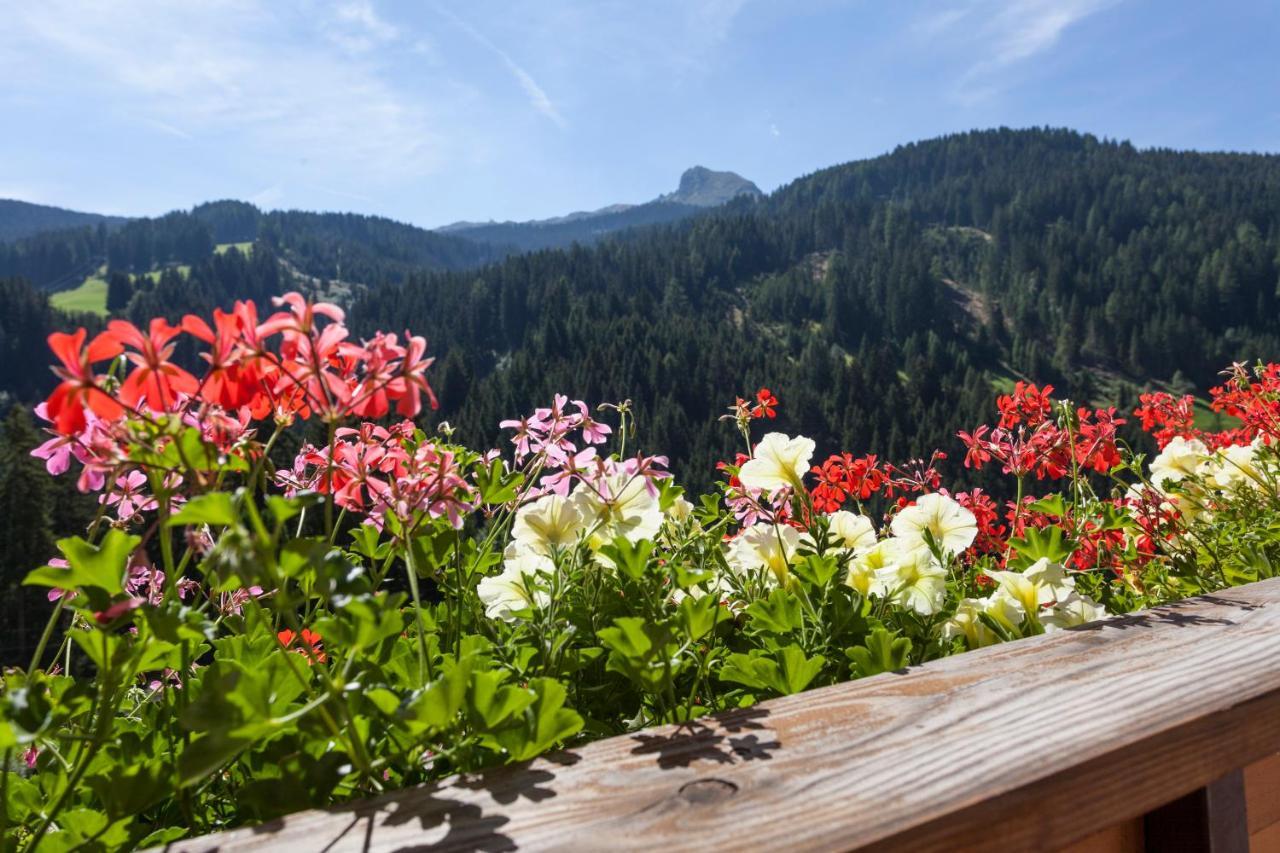Alpenspitz Appartements - Garni - B&B Racines Eksteriør bilde